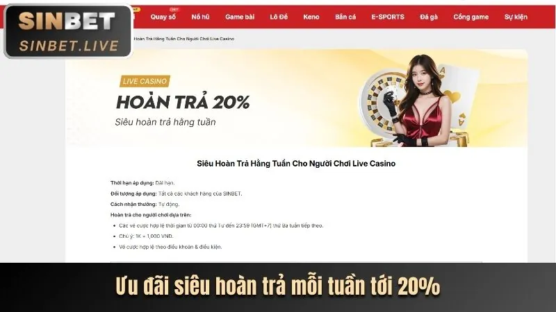 Hoàn trả đá gà hàng ngày